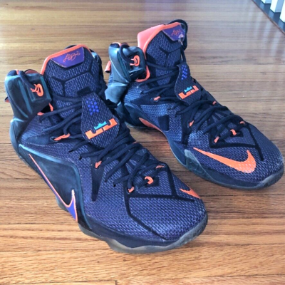 Nike Shoes Mens 11.5 LeBron XII 12 Instinct Cave Purple Hyper Grape 684593-583 Nike Lebron XII 12 Instinct 2014 Men Size 12 cave Purple  main image 3