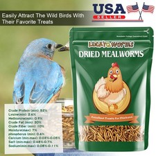 Bulk Dried Mealworms for Wild Birds Food Non-GMO Chickens Hen Fish Treats Food