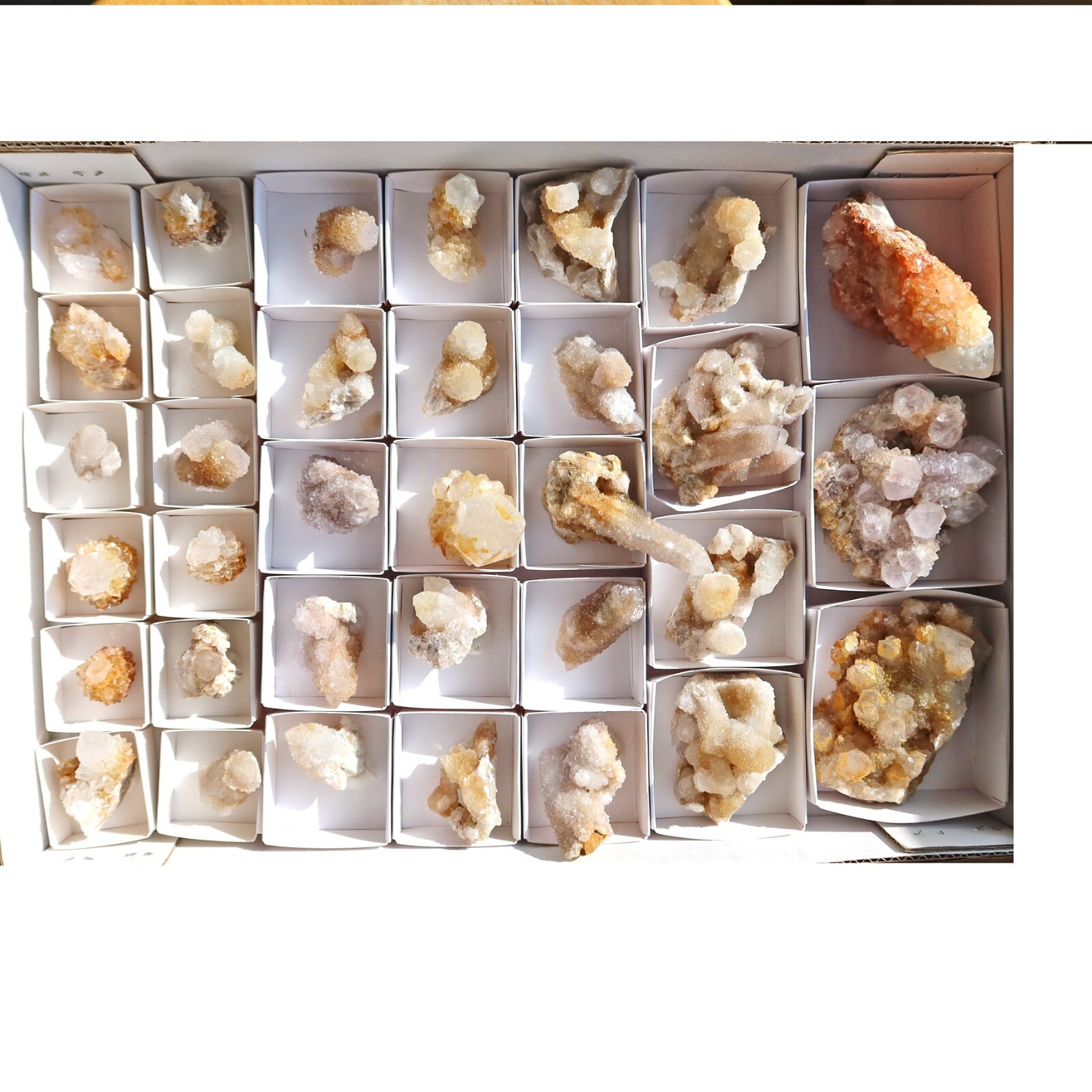 Citrine and White SPIRIT QUARTZ Cactus Crystal Wholesale 34 pcs CCFlat70