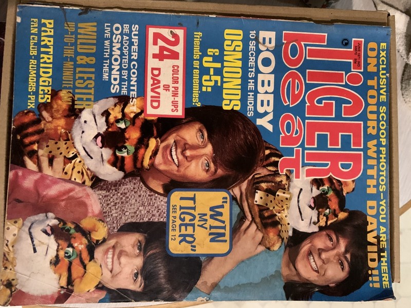 Tiger Beat Magazine June 1971