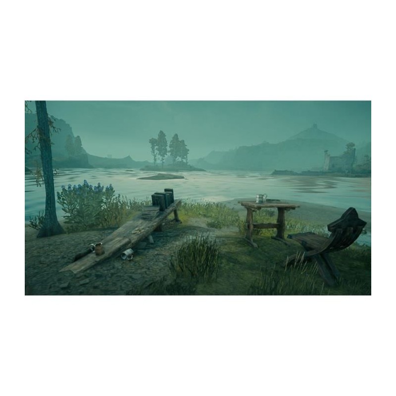 Hogwarts Legacy L'héritage de Poudlard jeu Nintendo Switch édition standard