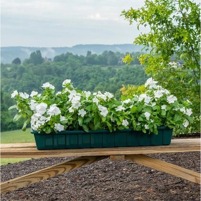 led lights grow plants Soltech Solutions- Grove LED Grow Light, Black