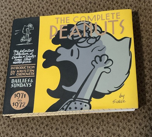 Le arachidi complete vol. #11 Fantagraphics 2009 copertina rigida - Foto 2 di 5