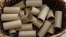 30 Empty Toilet Paper Rolls Cardboard Tubes for Arts  Crafts School Projects