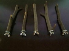 5er Set Sitzstangen für Vögel und Nager aus Buche oder Esche Länge  10 bis 50 cm