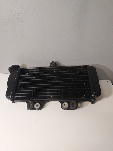 Radiateur d'eau pour Yamaha 125 TDR - 4FU / 5AE main image 1