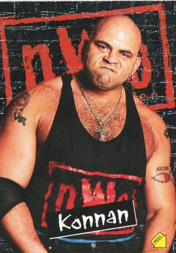WWE / WWF Various Embossed / NWO /WCW / Fleer 2001 Individual Trading Cards - Picture 98 of 116