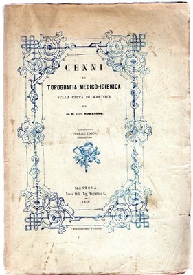 Cenni di topografia medico-igienica sulla citta di Mantova