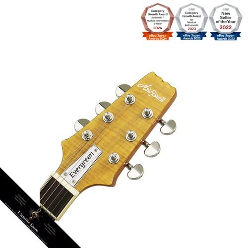 AriaProII PE-AE200 YG Aria Evergreen Electric GuitarJapan