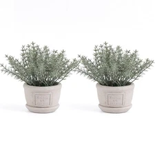 2 Pack Small Artificial Plants with Rosemary, The Rosemary Plants for Farmhouse