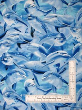 Dolphin Fish Fabric By Yard Nautical Ocean Sea Cotton Timeless Treasures C6147