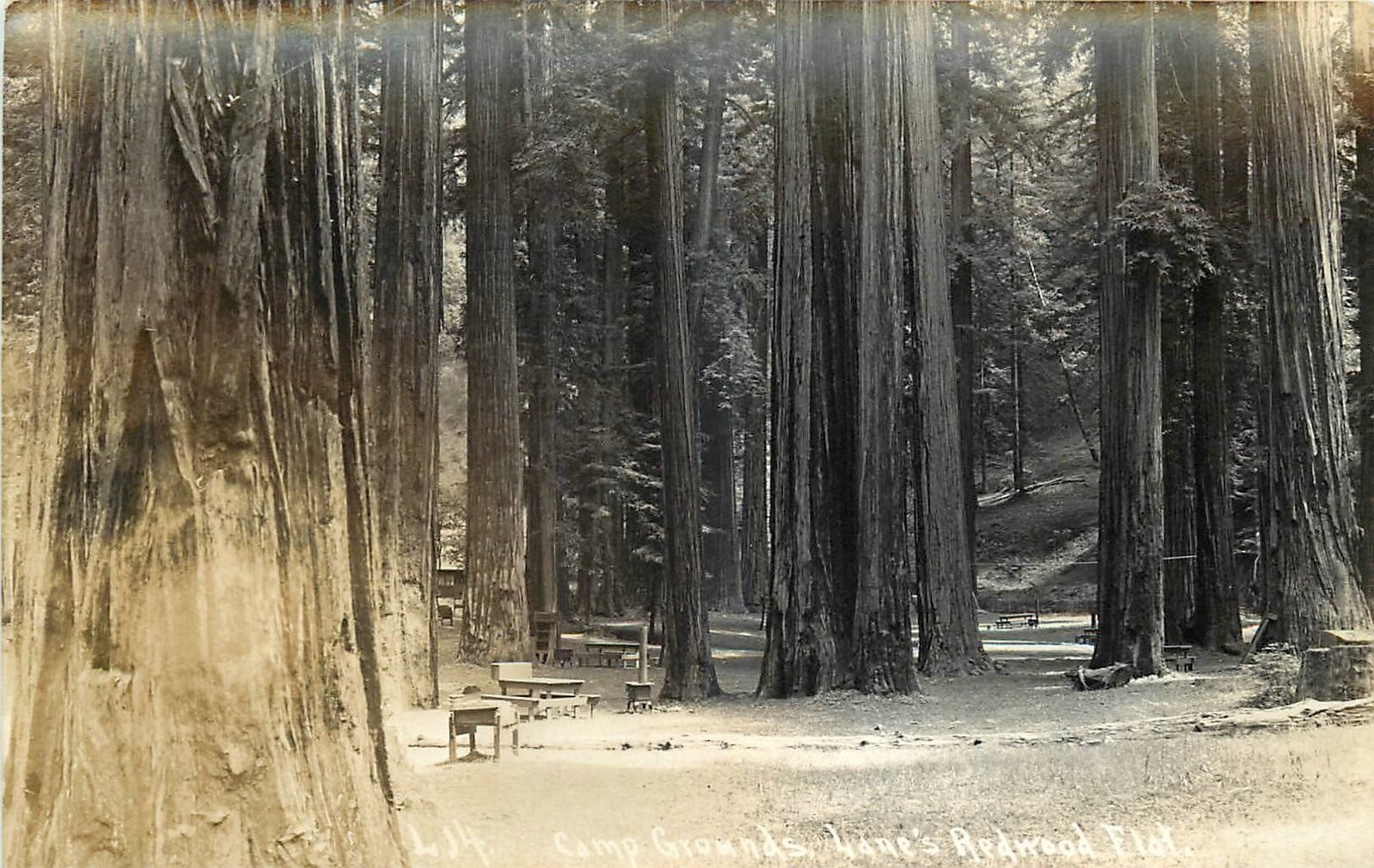 1940s Redwood Hwy California Humboldt Lanes Camp Ground Postcard RPPC 24-12251
