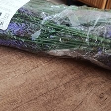 Getrockneter Lavendel Bund, lila Trockenblumenstiele, in Folie verpackt