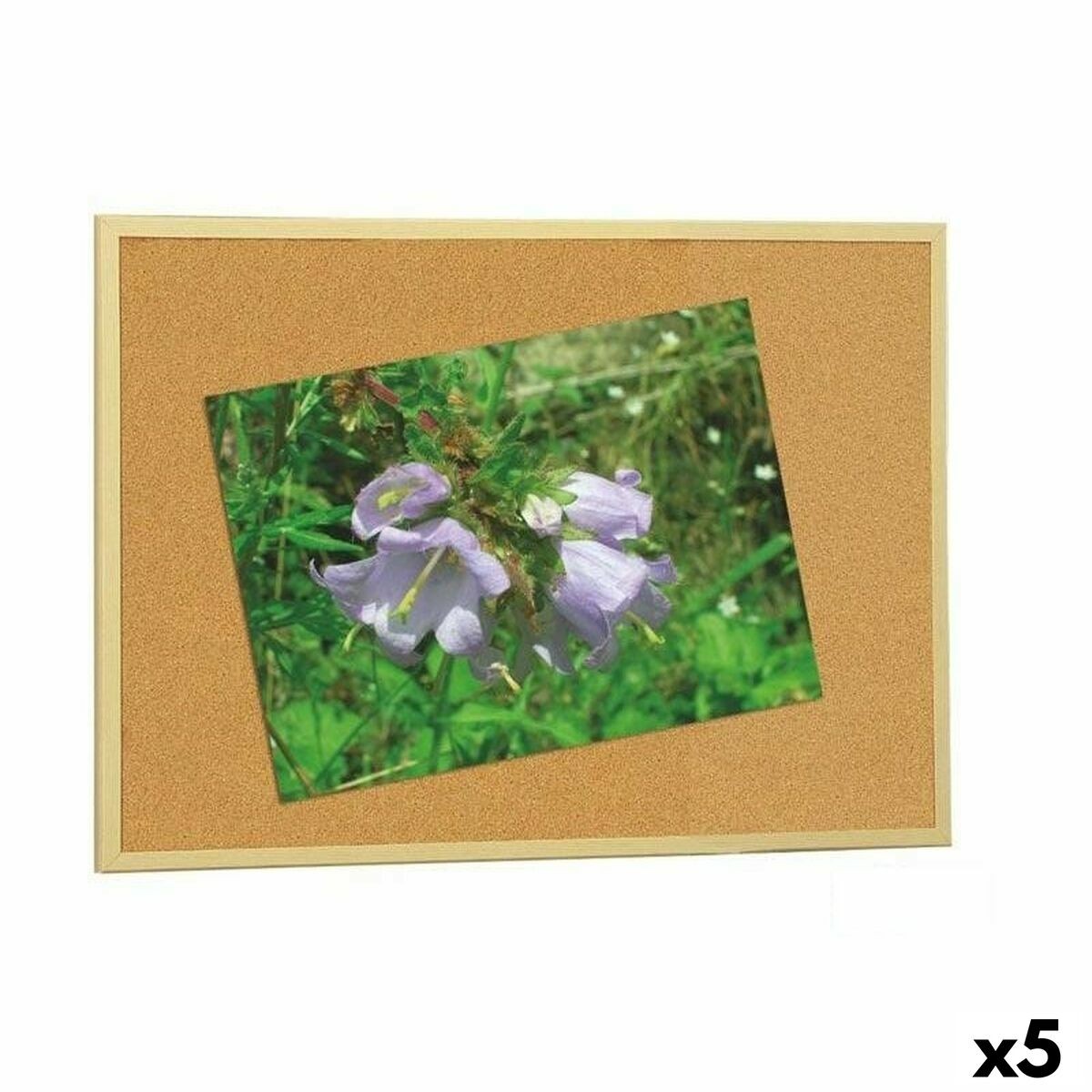 Foto 1 di 3