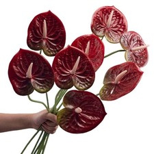 8 Pcs 23-5/8 Inch Artificial Anthurium Deep Red Real Touch Centerpiece Decor