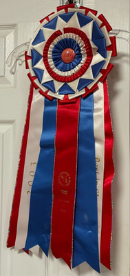 VINTAGE AMERICAN KENNEL CLUB AKC BEST IN SHOW RIBBON ROSETTE 28 '' CONROE TEXAS