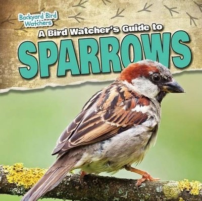 A Bird Watcher's Guide to Sparrows by Grace Vail (English) Hardcover Book