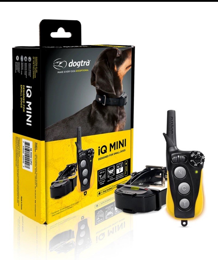 Dogtra iQ MINI Remote Training Collar for Small Dogs for sale