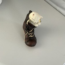 Kitten Tales “kitten in walking bootwalking boots 