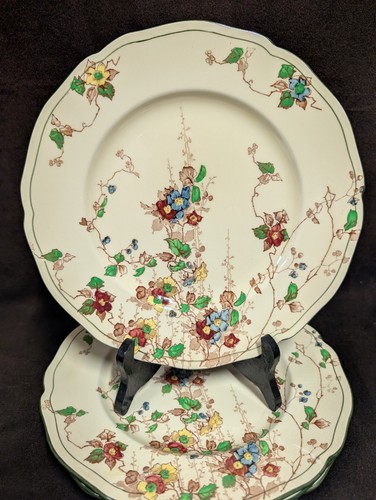 RARE Royal Doulton Kew Dinner Plate - Great Condition- NO CRAZING, Chips, Cracks