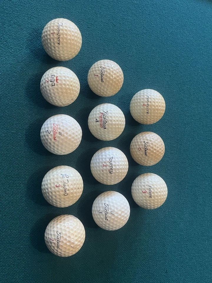 Vintage Pro Tour Golden Bear Iron Set (2, 3, 4, 5, 6) + 12 Used Golf Balls - Image 3 of 4