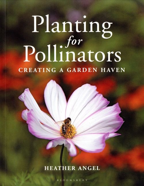 Planting for Pollinators