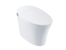 HOROW Best Smart Toilet with Built in Bidet and ADA Compliant Plasma Air