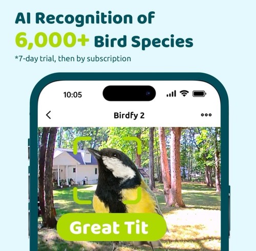 Birdfy Upgraded Bird Feeder Camera, Bird Watching Camera: Auto Identify, Alert - 第 4/11 張圖片