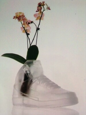 New Limited Edition Mr Flower Fantastic Air Jordan Aj2 Planter Shoe Handle Care Ebay