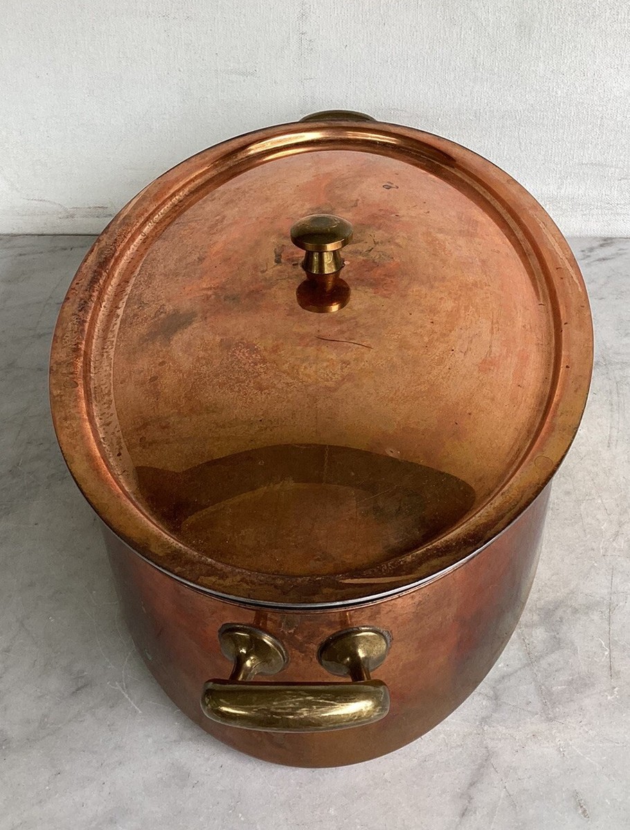 Vintage CULINOX SPRING SWITZERLAND Large Copper Stainless Fish