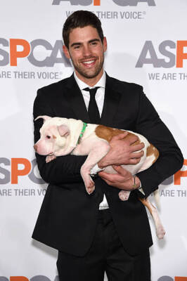 Model Chad White at ASPCA'S 18th Annual Bergh Ball honoring Edie F - Old Photo
