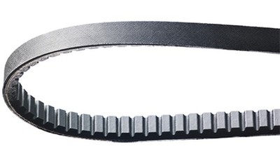 Keilriemen MALAGUTI F18 Warrior 150 Antriebsriemen Bando