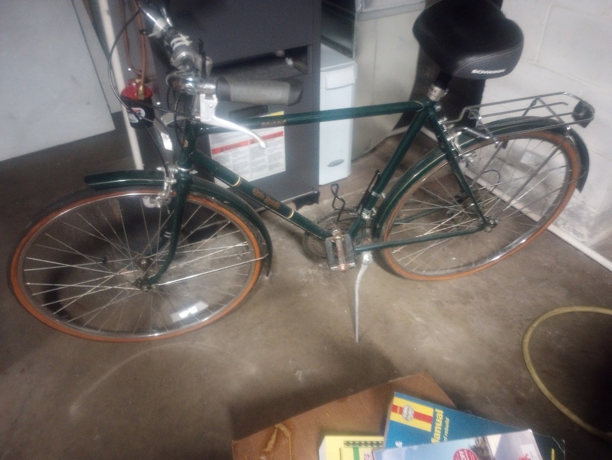 mid 80's Schwinn Free Spirit Greenbrier
