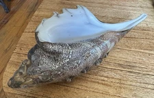 Hand Blown Glass Conch Shell L 10” Figurine Murano Style Beach Nautical