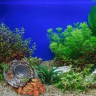 Bild 2 von 8