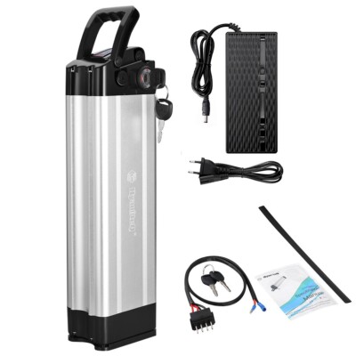 48V E-Bike Akku 12.5Ah Li-Ion Elektrofahrrad Silverfish Batterie mit Lade*erät
