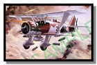 Henschel Hs 123 Tauchbomber gerahmtes Bild von Roy Cross kostenloser Versand UK