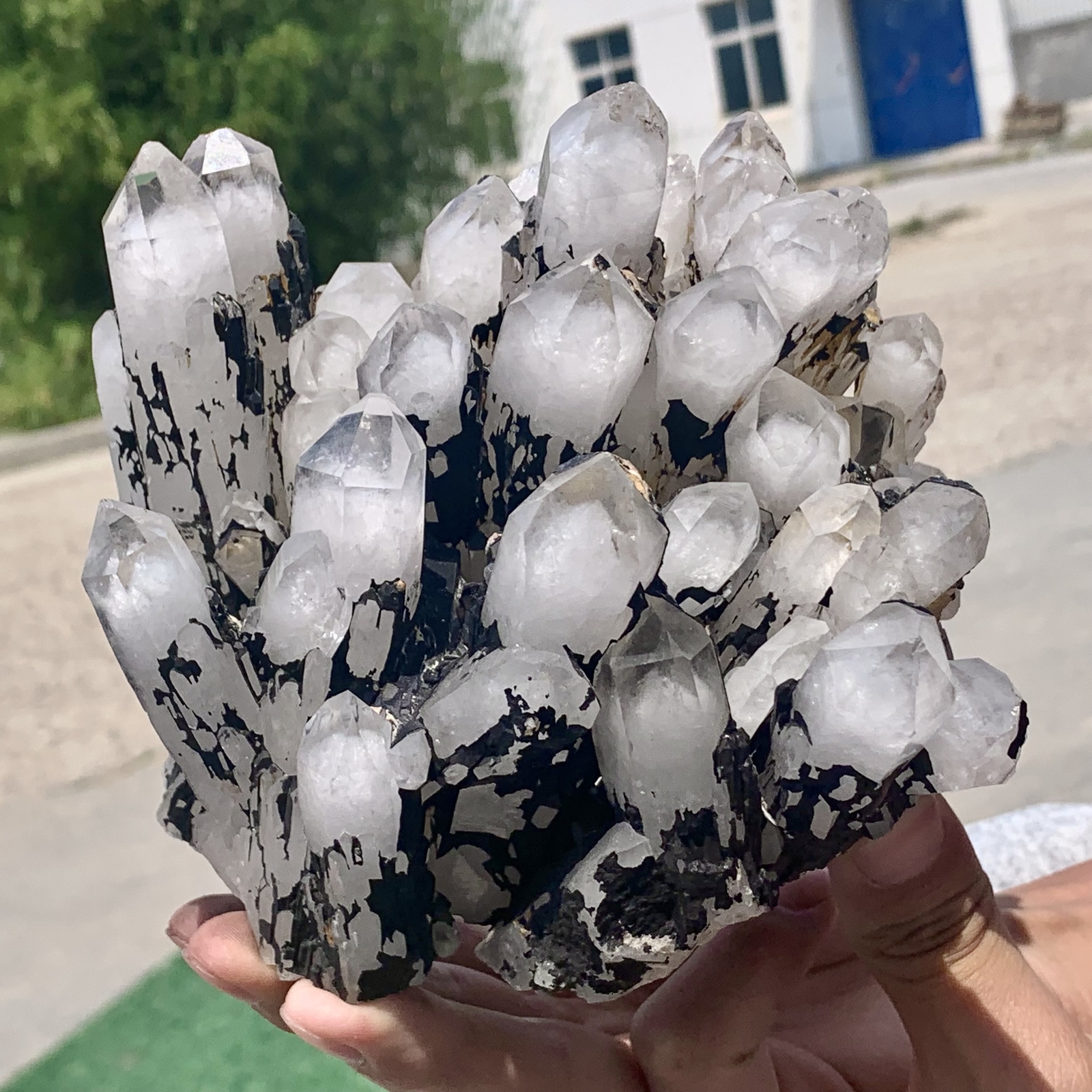 4.11LB Natural White Crystal Cluster with Black Mineral Mud Base  