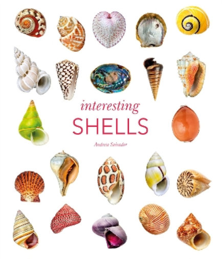 Andreia Salvador Interesting Shells (Copertina rigida)
