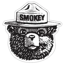 Forest Service Smokey The Bear Sticker Decal M146