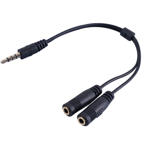 Dual Microphone Earphone/Headphone 