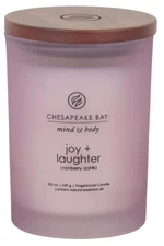 Chesapeake Bay Candle Scented Candle Joy + Laughter (Cranberry Dahlia) Medium Ho