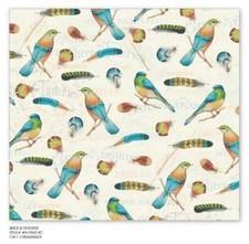 David Textiles Birds Feathers WA 3560 4C 1 Birds Feathers - Cotton Fab BTY