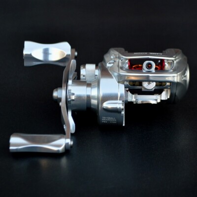 200 Series Baitcasting Fishing Reel 10+1 BBs 5 Button Magnetic Brakes Right  Hand | eBay