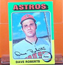 Click to enlarge Dave Roberts