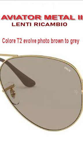 Coppia lenti ricambio Ray Ban RB 3025 3689 evolve fotocromatiche e  polarizzate | eBay