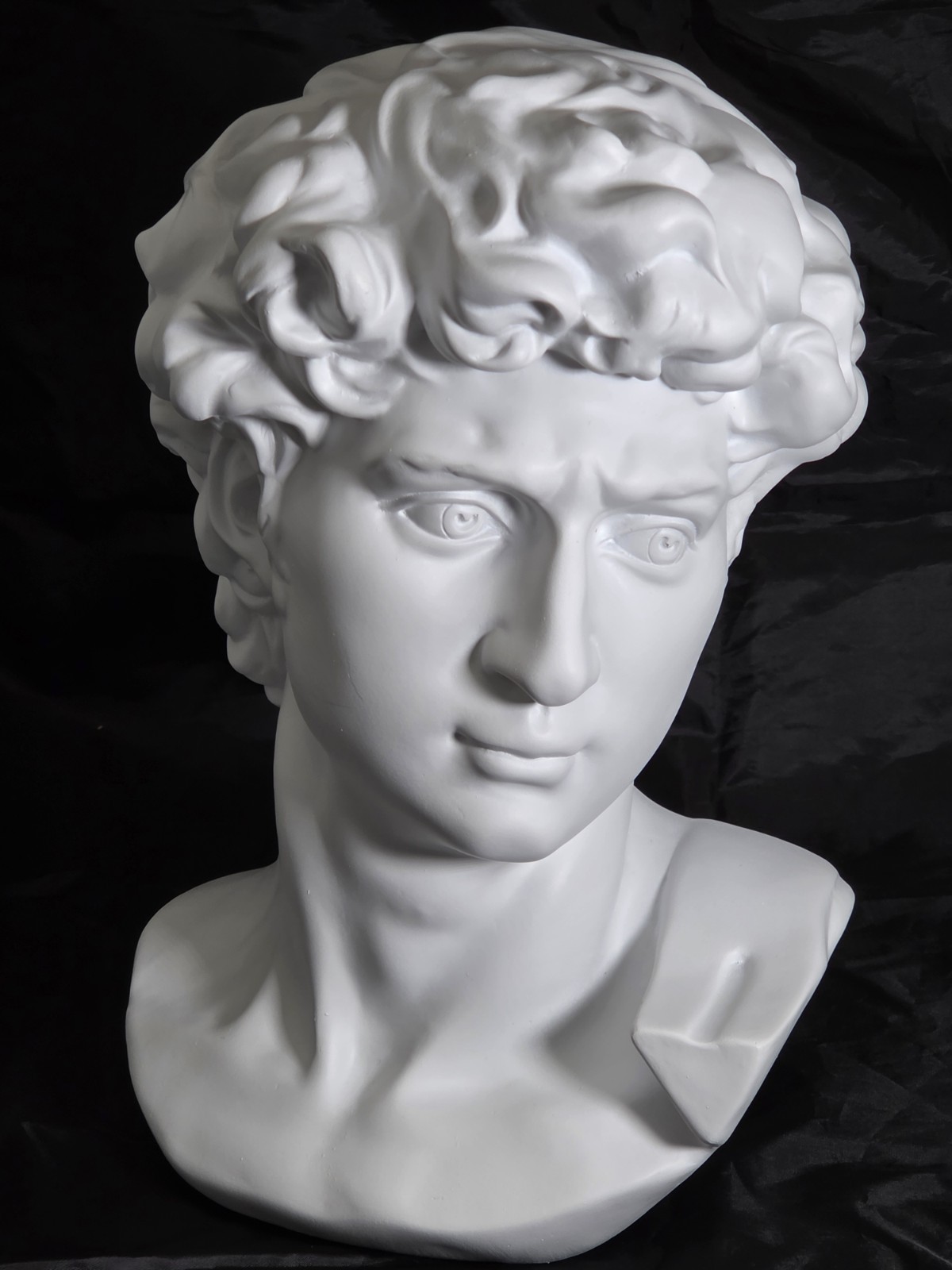 Italian Bust of David by Ennio Furiesi After Michelangelo - New Reproduction