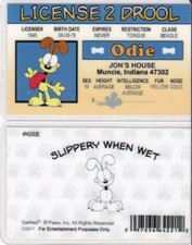 Licencia para Drool of ODIE, Garfield the Cat 's Dog Pal tarjeta de identificación de licencia de conducir