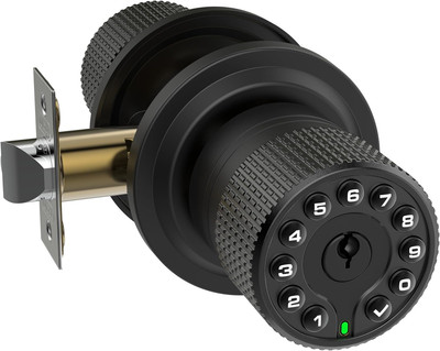 Keypad Smart Door Lock, 50 User Codes, Waterproof, Matte Black Finish