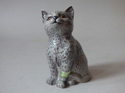 blue grey persian cat